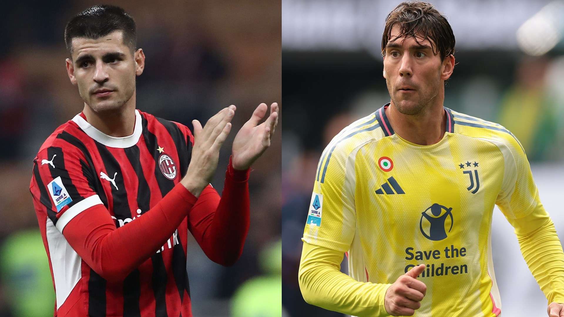 似乎只对特 似乎只对特